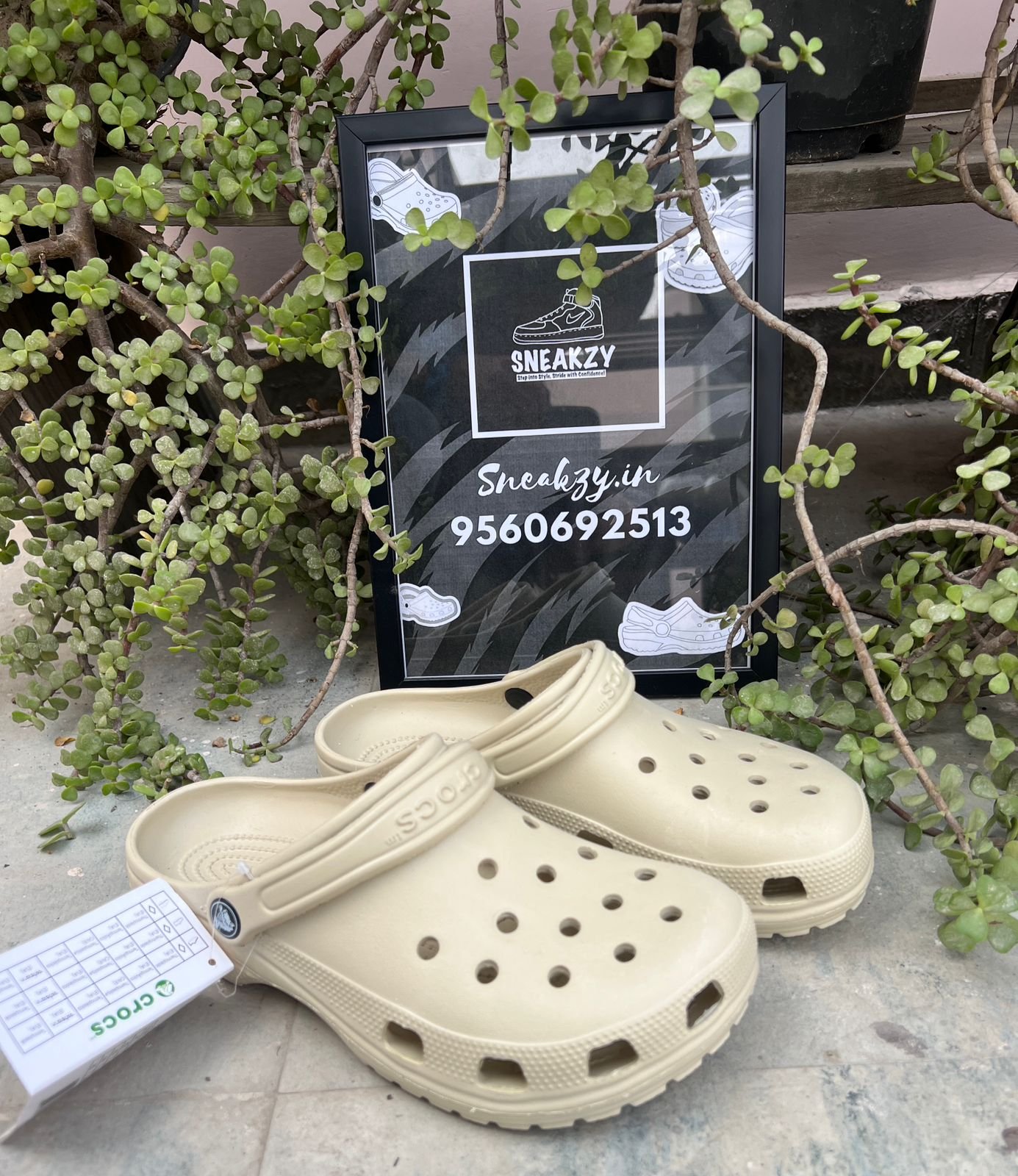 Crocs classic clogs (khaki)